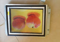 Original LMG9400XUCC-A2 HITACHI Screen 10.4" 640×480 LMG9400XUCC-A2 Display