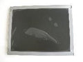 Original LB040Q02-TD03 LG  Screen 4.0" 320*240 LB040Q02-TD03 Display