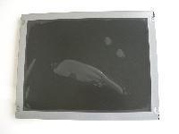 Original LB040Q02-TD03 LG  Screen 4.0" 320*240 LB040Q02-TD03 Display